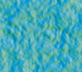 DIE DSDT-TEXTUR aus dem Beispielprogramm als Grün-Blau-Textur
